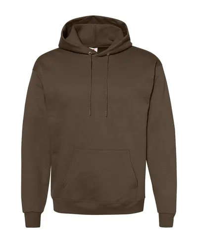 Hanes P170 Unisex EcoSmart® Hooded Sweatshirt — blank hooded sweatshirt, front view