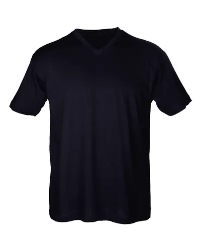 Tultex 206 Men's Fine Jersey V-Neck T-Shirt — blank t-shirt, front view